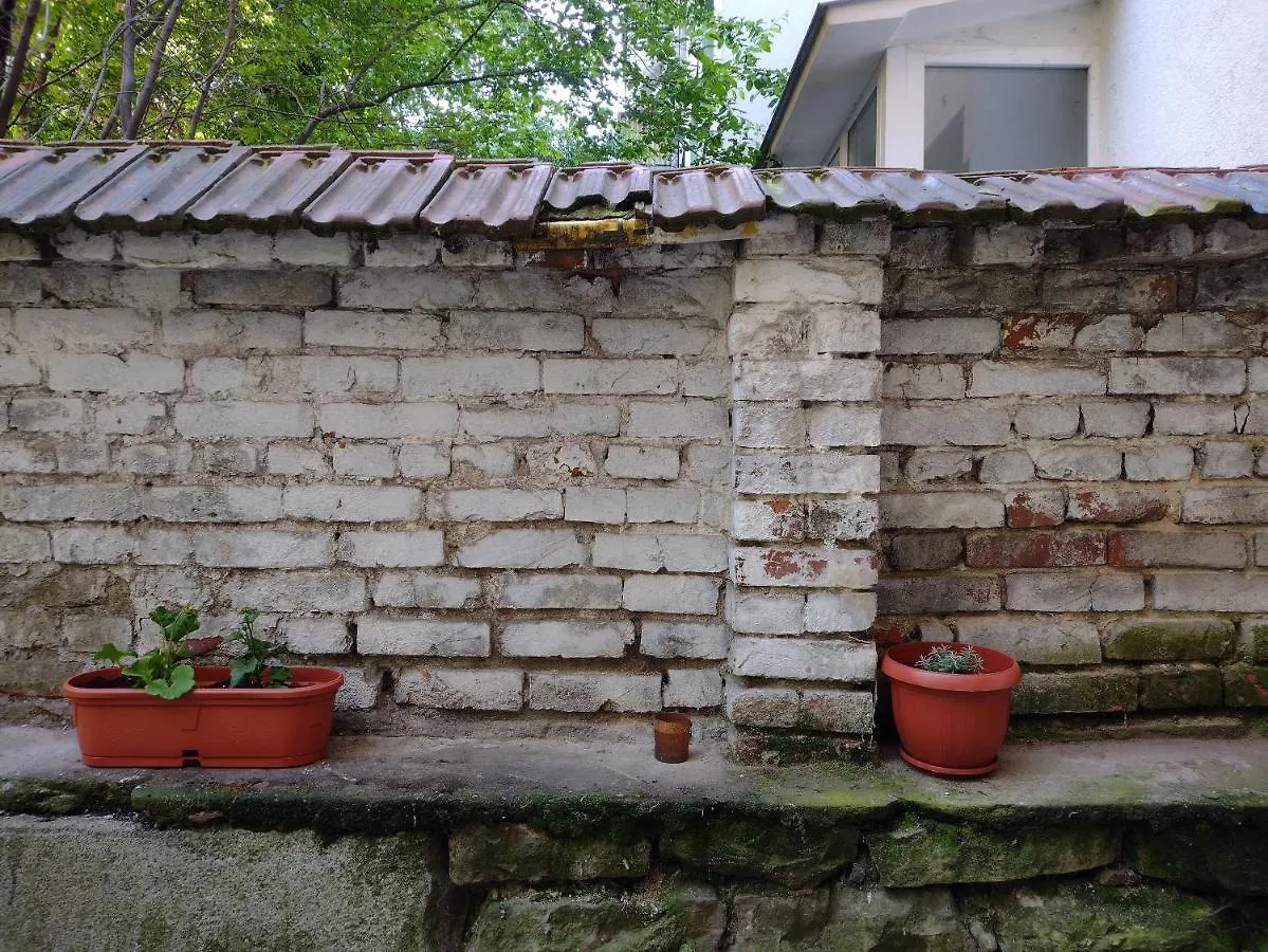 Apartment Charming Central Home With Garden Near Parking And Ndk Sofia
