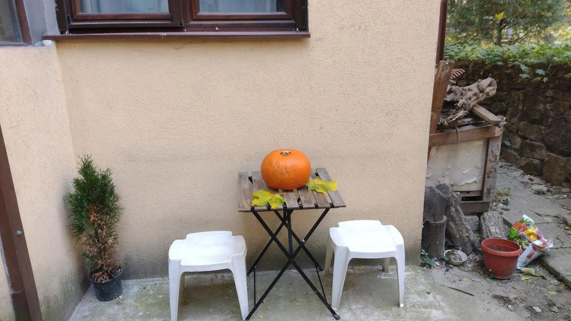 Charming Central Home With Garden Near Parking And Ndk Sofia Bulgaria
